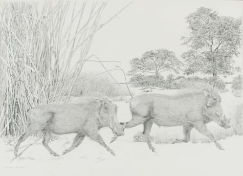 Bowen Boshier; Out and About
