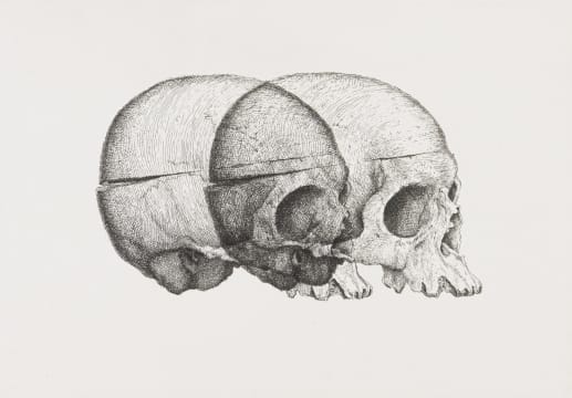 Gerhard Marx; Binocular Skull 2