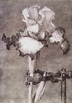 William Kentridge; Iris II (In Clamp)