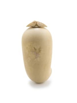 A Chinese ivory snuff bottle, Qing Dynasty, 19th century