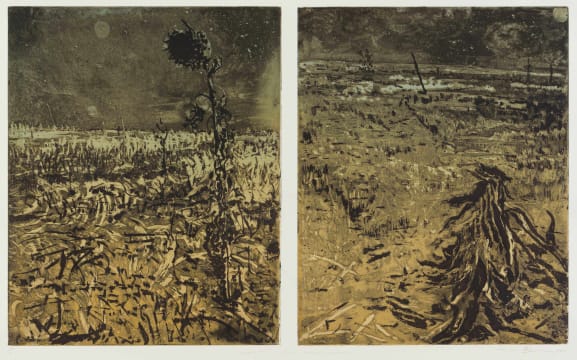 Kim Berman; 'Survival' ... South African Landscape