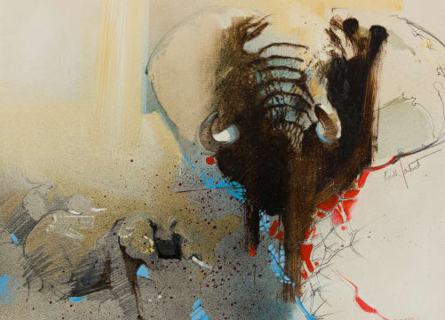 Keith Joubert; Linyanti Elephants