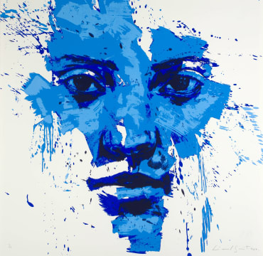 Lionel Smit; Silkscreen #15