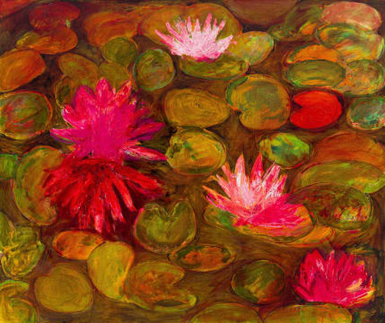 Bronwen Findlay; Waterlilies