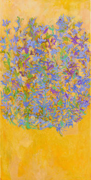 Bronwen Findlay; Ribbon Bush