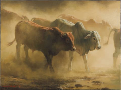 Jaco van Schalkwyk; Herd Crossing II
