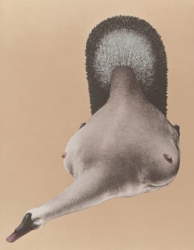 Jules van de Vijver; Composite Form (Nude and Bird)