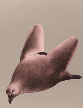 Jules van de Vijver; Composite Form with Dove's Head