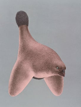 Jules van de Vijver; Composite Form with Bird's Head