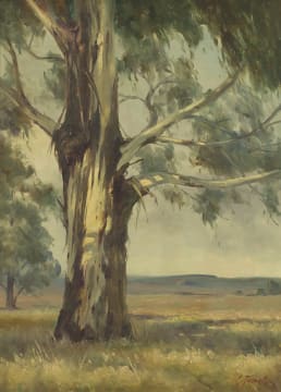 Christopher Tugwell; Blue Gums