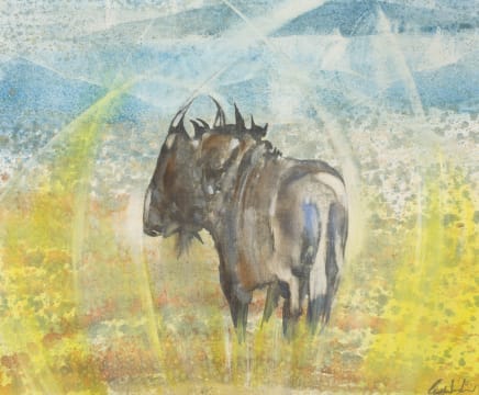Gordon Vorster; Wildebeest