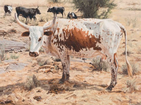 Sipho Ndlovu; Bloemfontein