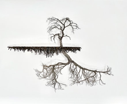 Beth Diane Armstrong; Arabesque