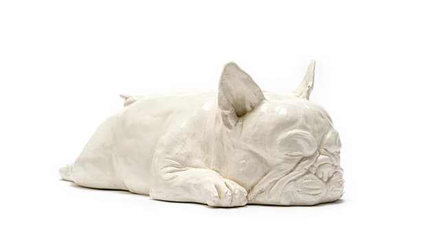 Frank (Francois) van Reenen; Sleeping Dog