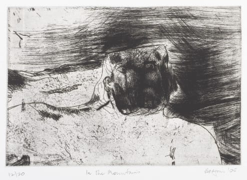 Robert Hodgins; In the Mountains