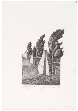 Jan Visser; Ruins and Trees