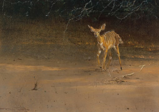 Dino Paravano; Nyala Ewe under a Thorn Tree