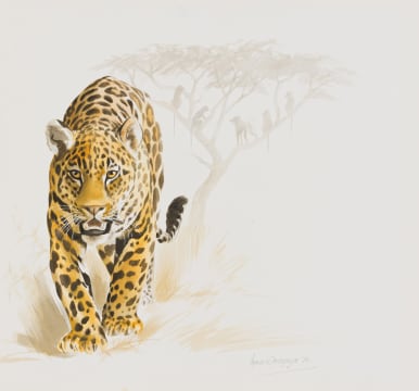 Ingrid Weiersbye; Leopard