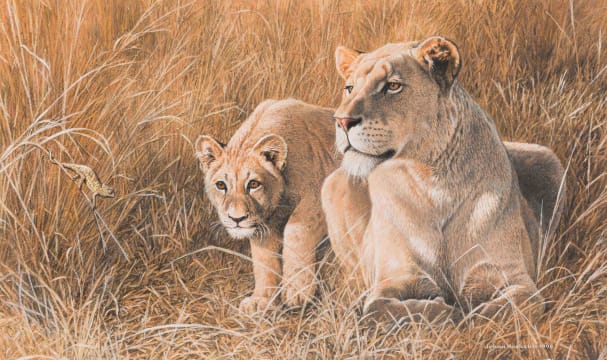 Johan Hoekstra; Lioness with Cub and Chamelion