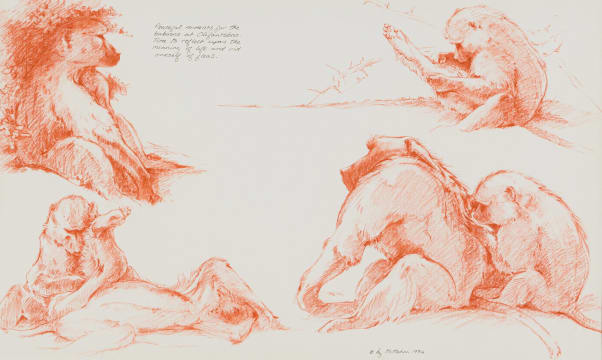 Liz McMahon; Peaceful Moment for the Baboons