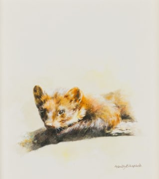 Mandy Shepherd; Brown Mink