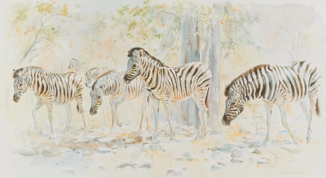 Patricia Mary Vaughan; Zebra Moving to Water