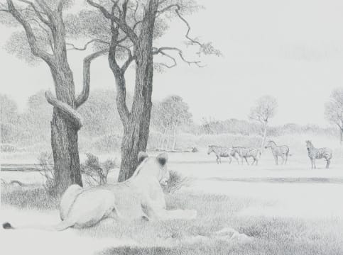 Robert Kuhn; Nhloteni Waterhole, Kruger National Park, RSA