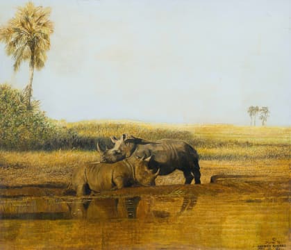Sydney Rogers; White Rhinos