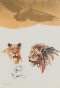 Vic Guhrs; Lions and Vulture