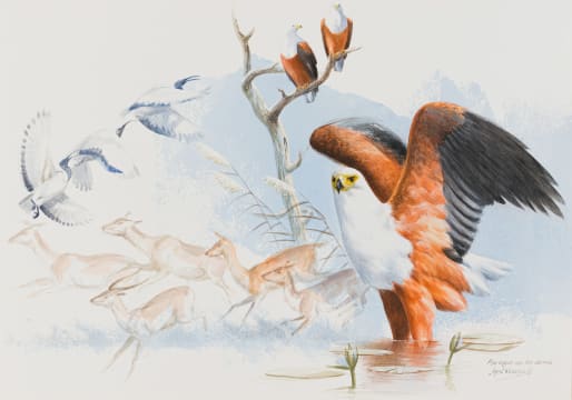 Ingrid Weiersbye; African Fish Eagle and Red Lechwe