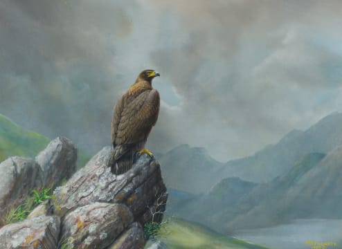 Peter R Fogarty; Golden Eagle by a Loch