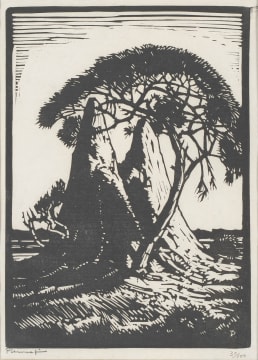 Jacob Hendrik Pierneef; Miershope, S.W.A. (Nilant 113)
