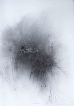 Stuart Bird; Democratic Multiple