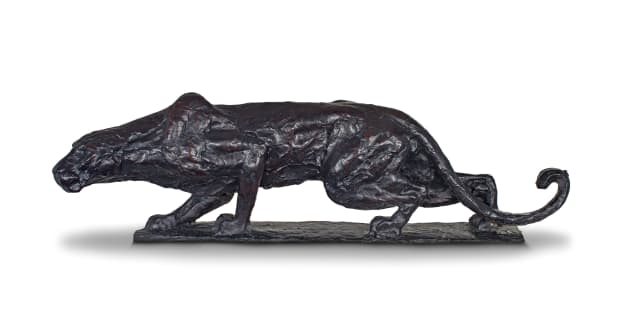 Dylan Lewis; Stalking Leopard (S54)