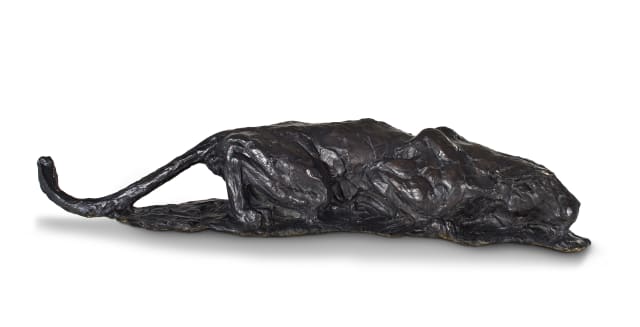 Dylan Lewis; Crouching Leopard (S55)