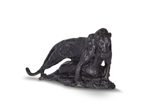 Dylan Lewis; Leopard Dragging Kill (S58)