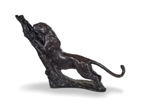Dylan Lewis; Tree-Marking Leopard (S49)