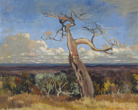 Terence McCaw; Landscape with Tree