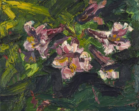 George Rowlett; Lilium - Pink Perfection + Polygonum - Firetail