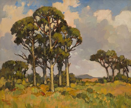Conrad Theys; Landscape with Bluegums