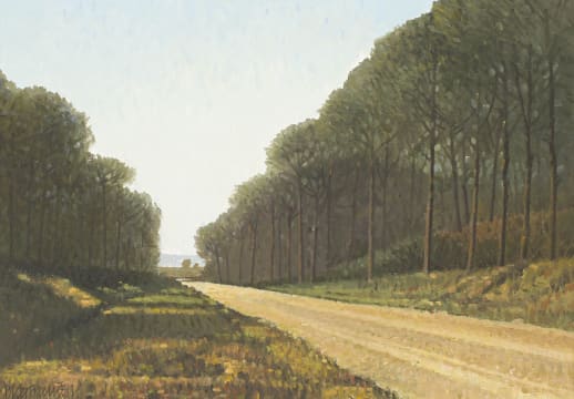 Daan Vermeulen; Pine Road 419