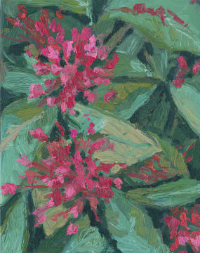 Mia Chaplin; Floral Composition
