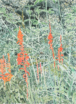 Sue Martin; Garden Shade