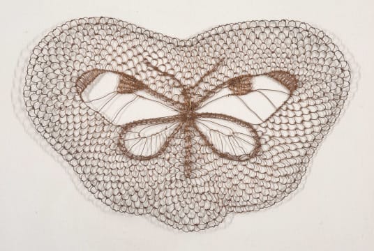 Walter Oltmann; Copper Moth