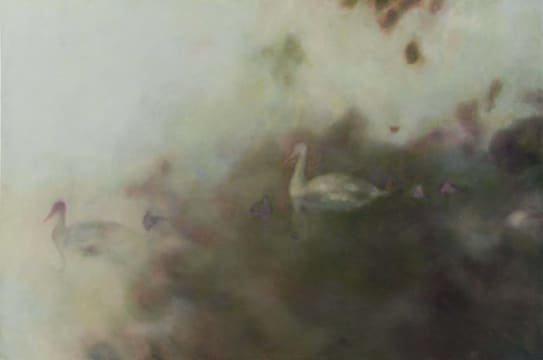Maria Patrizi; Fine-Feathered Floating Fowl