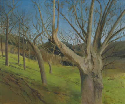 Alice Goldin; Klein Constantia (Marlbrook) Winter