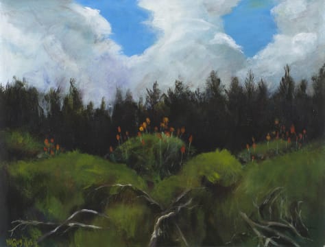 Alyson Guy; Pine Tree Barrier