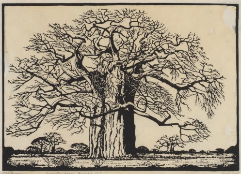 Jacob Hendrik Pierneef; Kremetartboom, Bosveld, N.T. (Nilant 73)