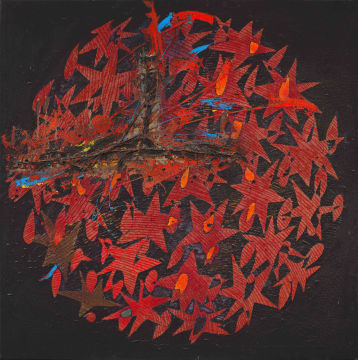 Christo Coetzee; Shattered Star Ball