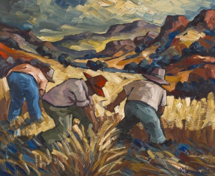 Hennie Niemann Snr; Harvesters